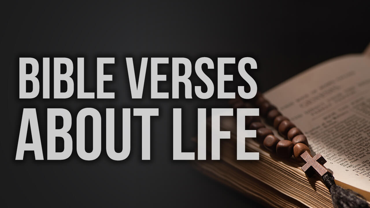 Bible verses about life